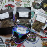 Un coup de cœur qui s’étoffe : Izno Farm