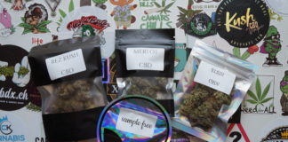 Un coup de cœur qui s’étoffe : Izno Farm