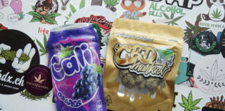 La gagnante de la Cannaswisscup !