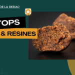 Les meilleurs hash CBD et résines reconstituées
