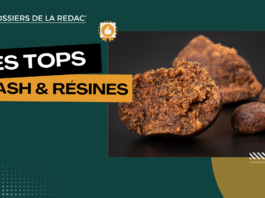 Les meilleurs hash CBD et résines reconstituées