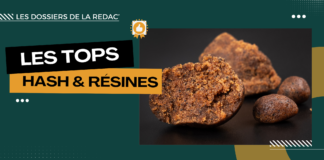 Les meilleurs hash CBD et résines reconstituées