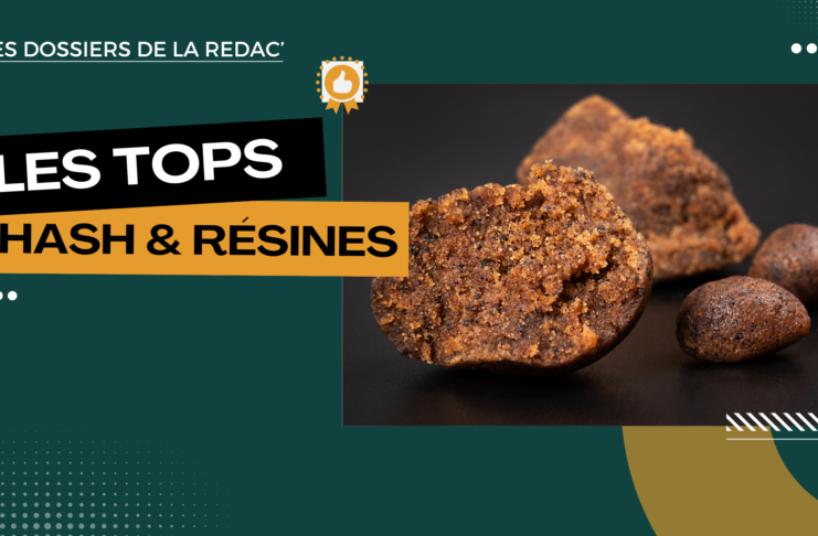 Les meilleurs hash CBD et résines reconstituées