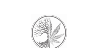 La Vieille Branche – Fiche Technique et Avis