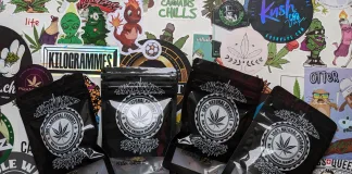 On découvre Da’Sy French Farmer !