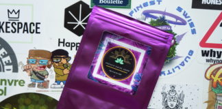 French Swiss Hemp, sélections d’exception