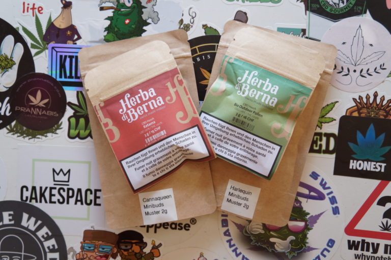 Duos fleurs et résines d&rsquo;Herba di Berna