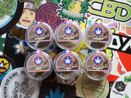 Le Spliff Français, gagnant de la Platinum Cup !