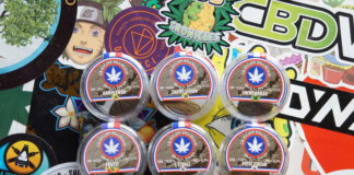 Le Spliff Français, gagnant de la Platinum Cup !