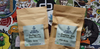 Meilleure fleur greenhouse de la Platinum Cup (Les Botanistes)