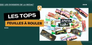 Les meilleures feuilles à rouler (pour de vrai)