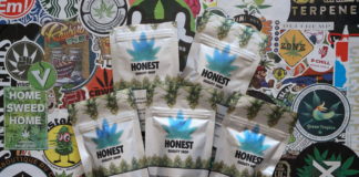 C’est fini les vacances, et chez Honest aussi !