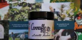 Après Prannabis, je découvre Cannafleur (Autriche)