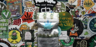 La gagnante de la Spannabis Champions Cup 2023 (WeNeed) ! WeNeed