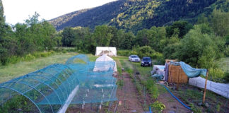 Un Ice Hash chez Green Life CBD