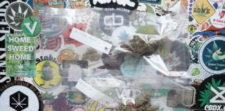 Cannaresearch, un des meilleurs producteurs suisses