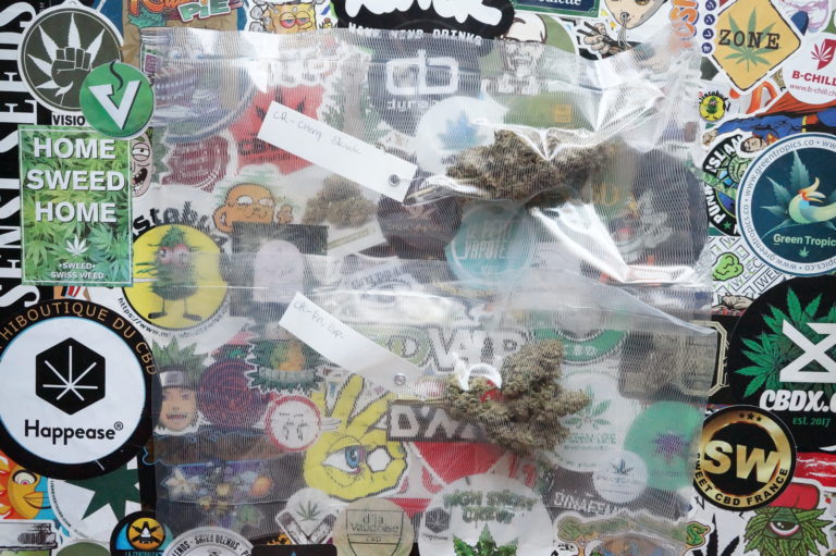 Cannaresearch, un des meilleurs producteurs suisses