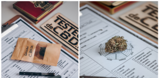 Crush sur la Golden Cheese de Cannacie