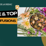 Herboristerie, plantes médicinales et infusions (Top infusions-thés-tisanes)