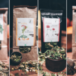 Les infusions selon l’Herbarium de Carade !