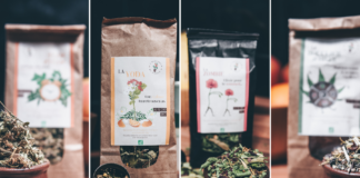 Les infusions selon l’Herbarium de Carade !