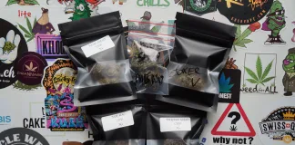 Izno is back ! Izno is good !