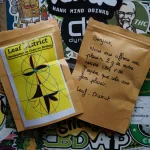 Test du gagnant de la Platinum Cup : Leaf District !