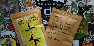 Test du gagnant de la Platinum Cup : Leaf District !