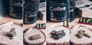 Découverte de 4 pollens de Swiss Botanic !