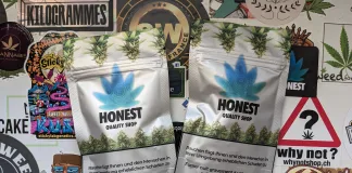 Frosty et The White, les nouvelles d’Honest !