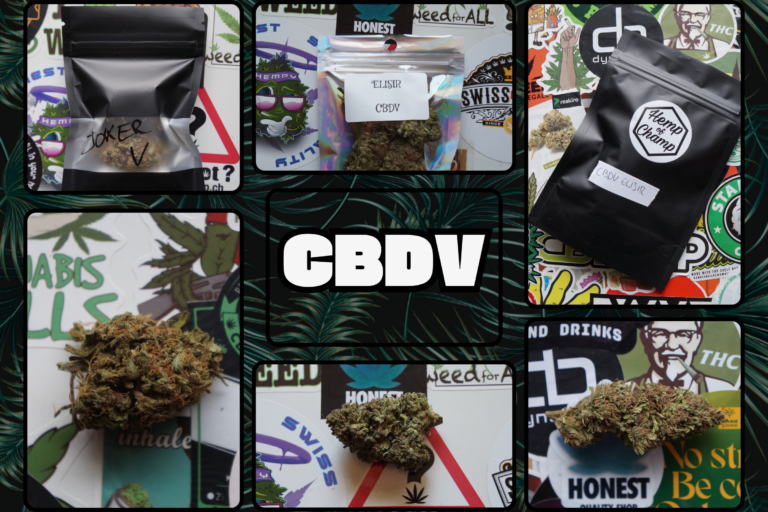 Le CBDV : effets, génétiques, fleurs, résines…