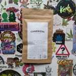 Canebiera, passion et singularités