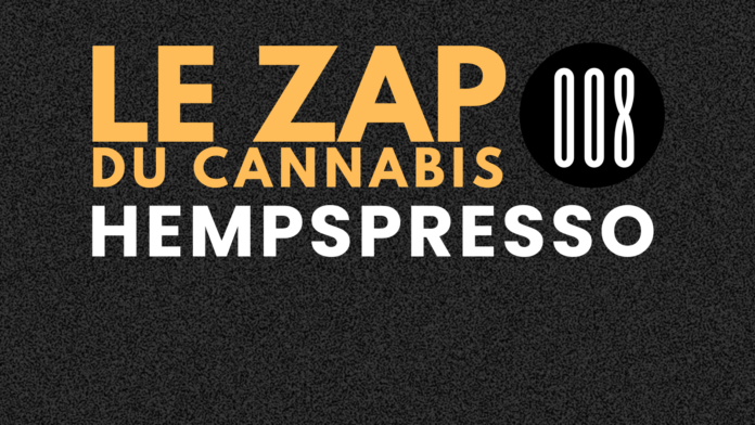 Hempspresso - Le zap du cannabis - Cover Article Testeur de CBD (8)