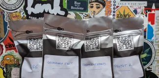 Expo’ Picasso Genetics chez Honest !