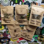 Sélections et productions chez Green Spot !