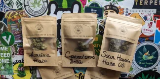 Sélections et productions chez Green Spot !