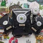 J’ai testé Le Petit Hollandais du CBD !