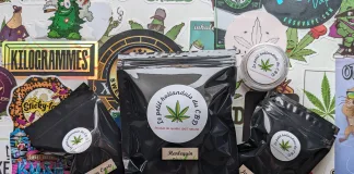 J’ai testé Le Petit Hollandais du CBD !