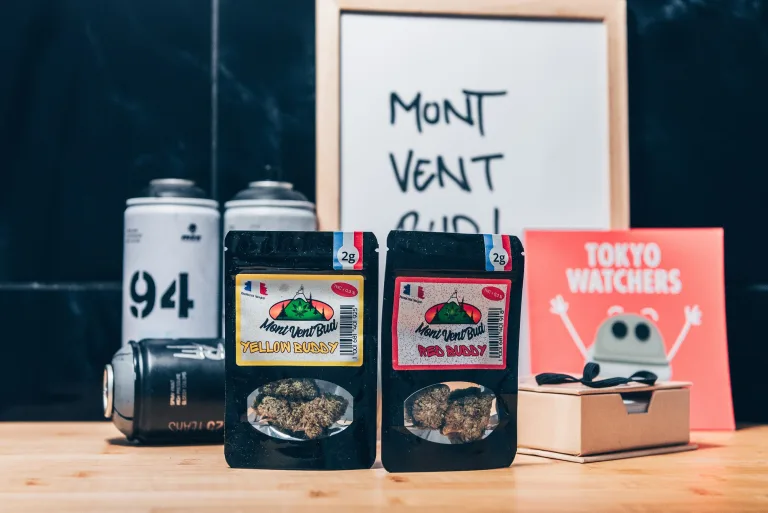 Découverte de MontVentBud !