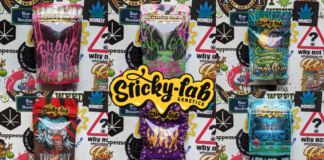 Sticky Lab Genetics, l’excellence à l’Italienne