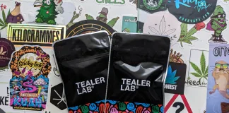 Tealer Lab, mon test