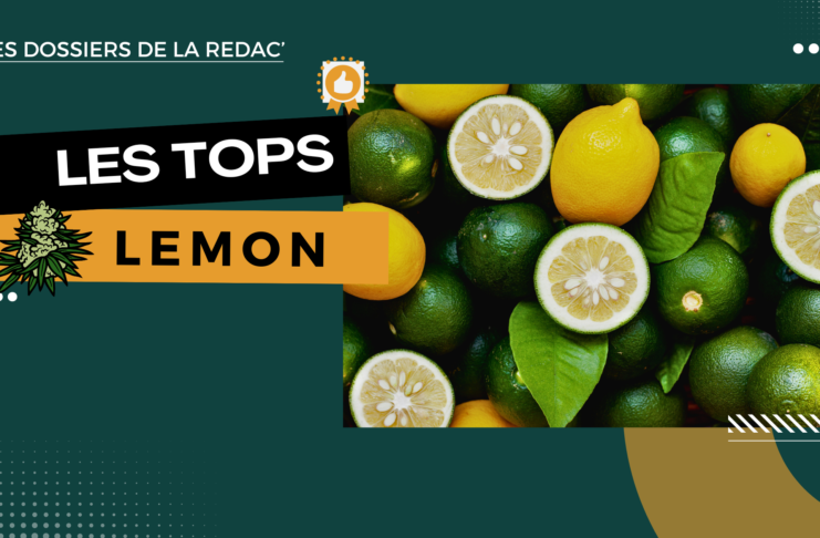 Notre sélection des meilleures Lemon CBD