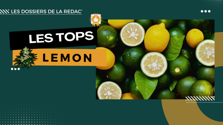 Notre sélection des meilleures Lemon CBD