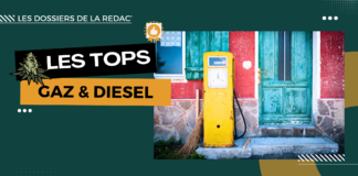 Top des fleurs gazeuses et diesel CBD