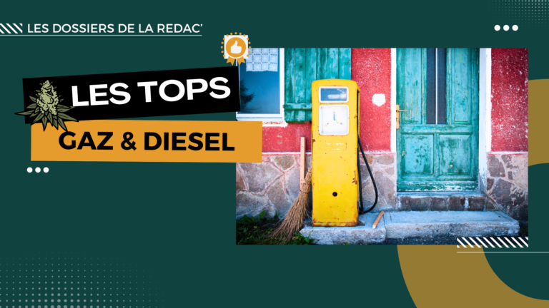 Top des fleurs gazeuses et diesel CBD