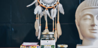 Découverte de À Traction Florale !