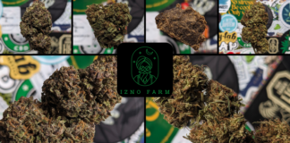 Izno Farm, le vivant au service du goût