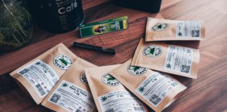 On découvre Docteur Green (2024)