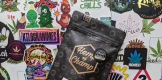 La Strawbacus d’Hemp of Champ