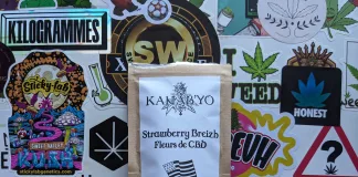 Découverte du producteur Kanab’Yo !